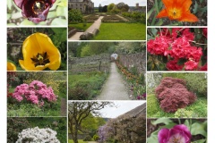 MP-Buckland-Abbey-Colours