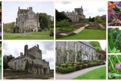 PG-Collage-2023-05-05-Buckland-Abbey