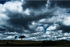 Dramatic clouds