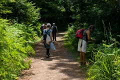 Exploring the jungle path