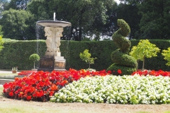 Mount Edgcumbe Gardens