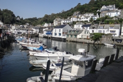 Polperro Harbour