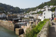 Polperro Harbour