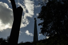 Cornish Cross