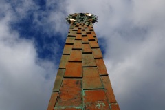 Cornish Cross reaching for the sky