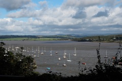River Tamar from Elwell Woods