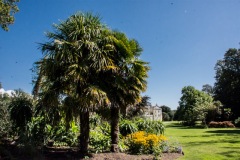 Saltram Garden Lawn