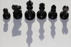 Chess Shadow