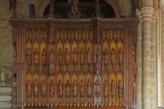 Organ Panel