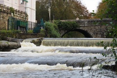 The Weir on the River Tavy