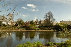 River Dart at Totnes