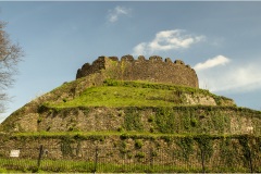 Totnes Castle