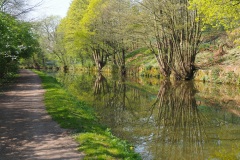 Leeds & Liverpool Canal near Parbold, April 2019