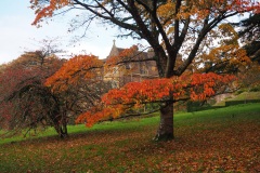 Beautiful Autumn Colour