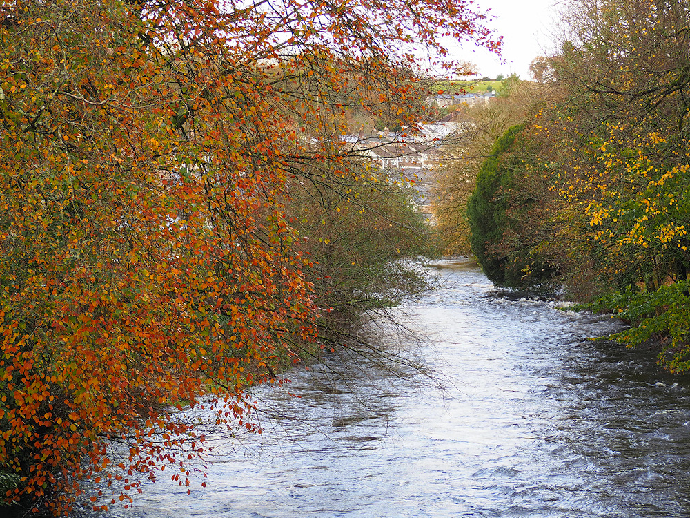 River Tavy at Tavistock