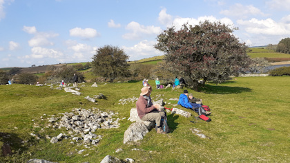 Intermediate Walks Group