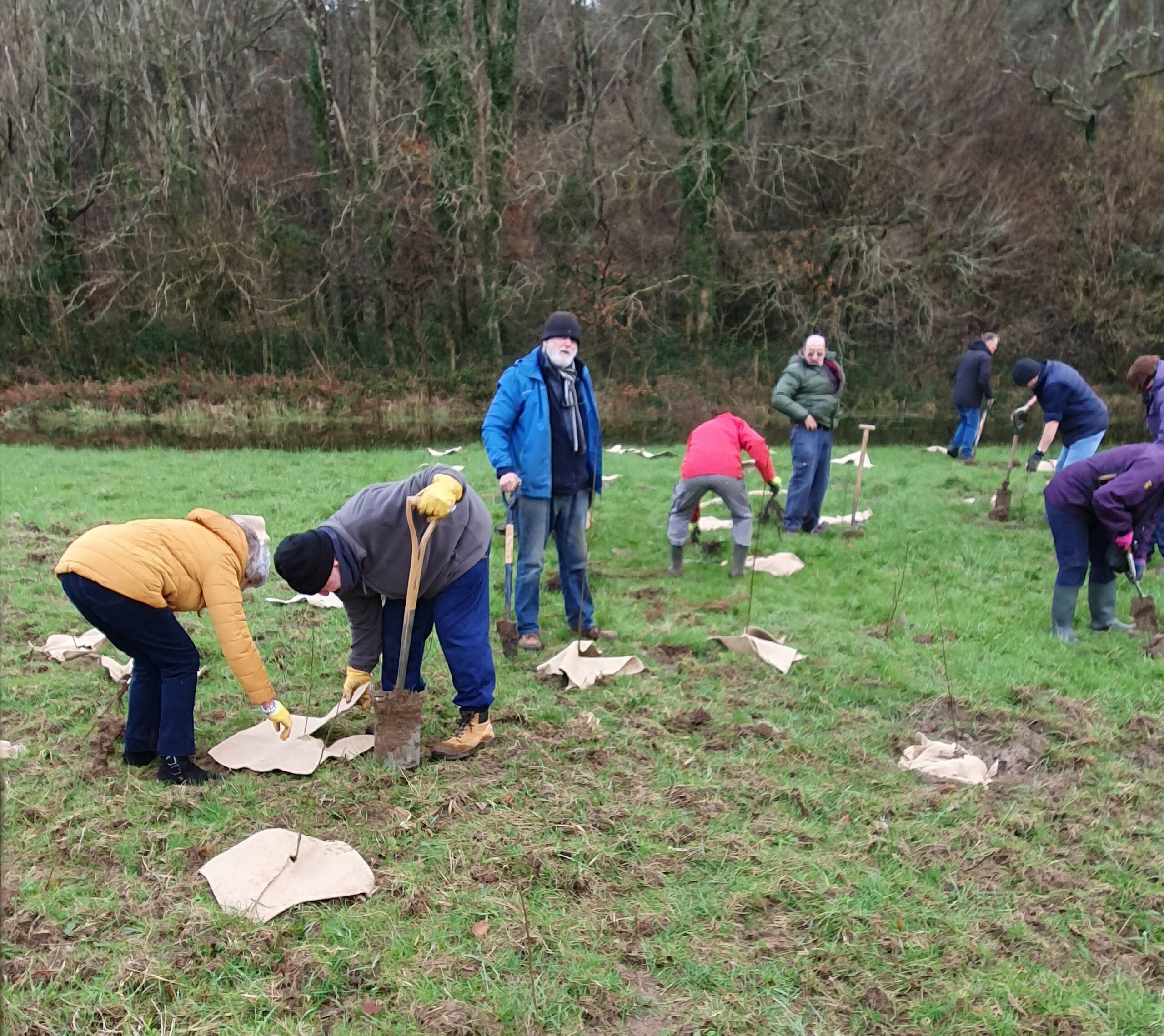 Plymouth u3a plant trees